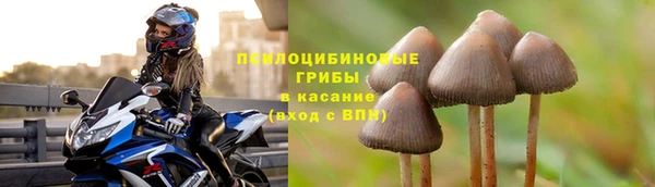 спайс Абдулино