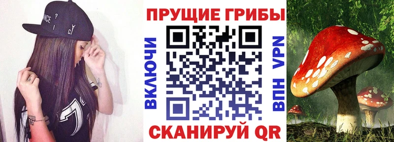 купить наркотик  Смоленск  Псилоцибиновые грибы мицелий 