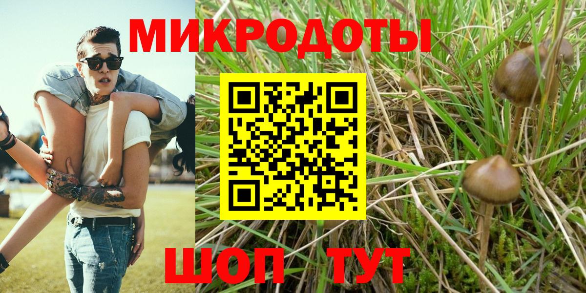 Псилоцибиновые грибы мицелий Смоленск